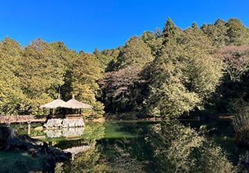 嘉義｜阿里山國家森林遊樂區全票