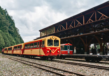 阿里山林鐵本線【阿里山-嘉義】回程票