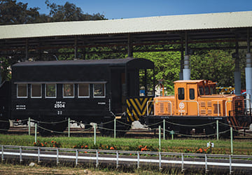 高雄｜濱線觀光列車-哈瑪星號車票