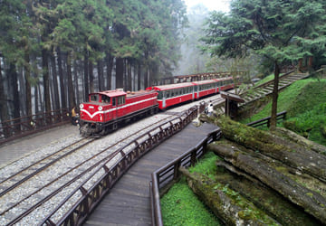 阿里山林鐵支線 |【祝山、沼平、神木】一日券